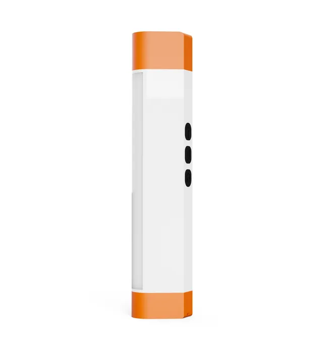 FLS-1