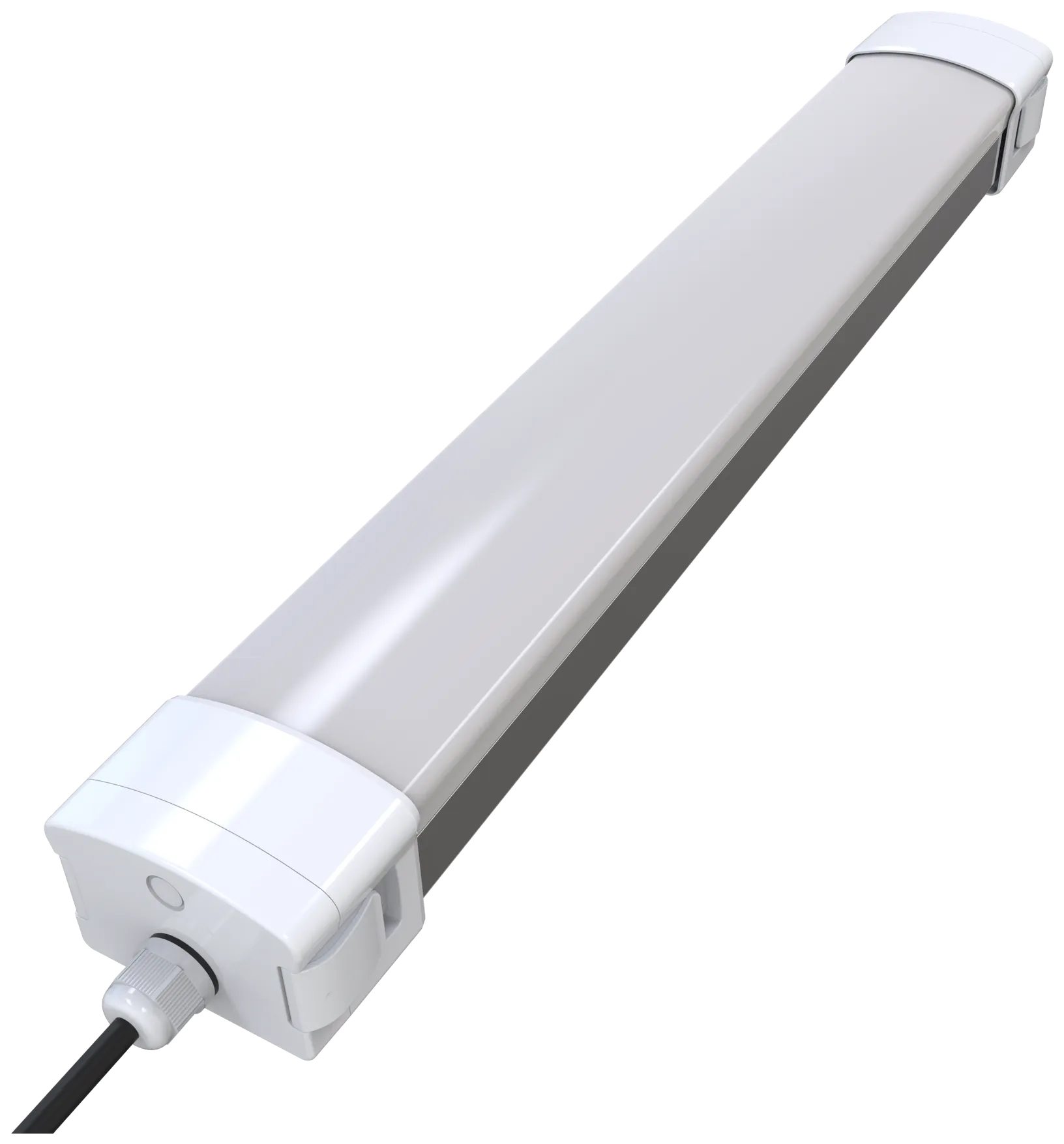 Vapor proof light