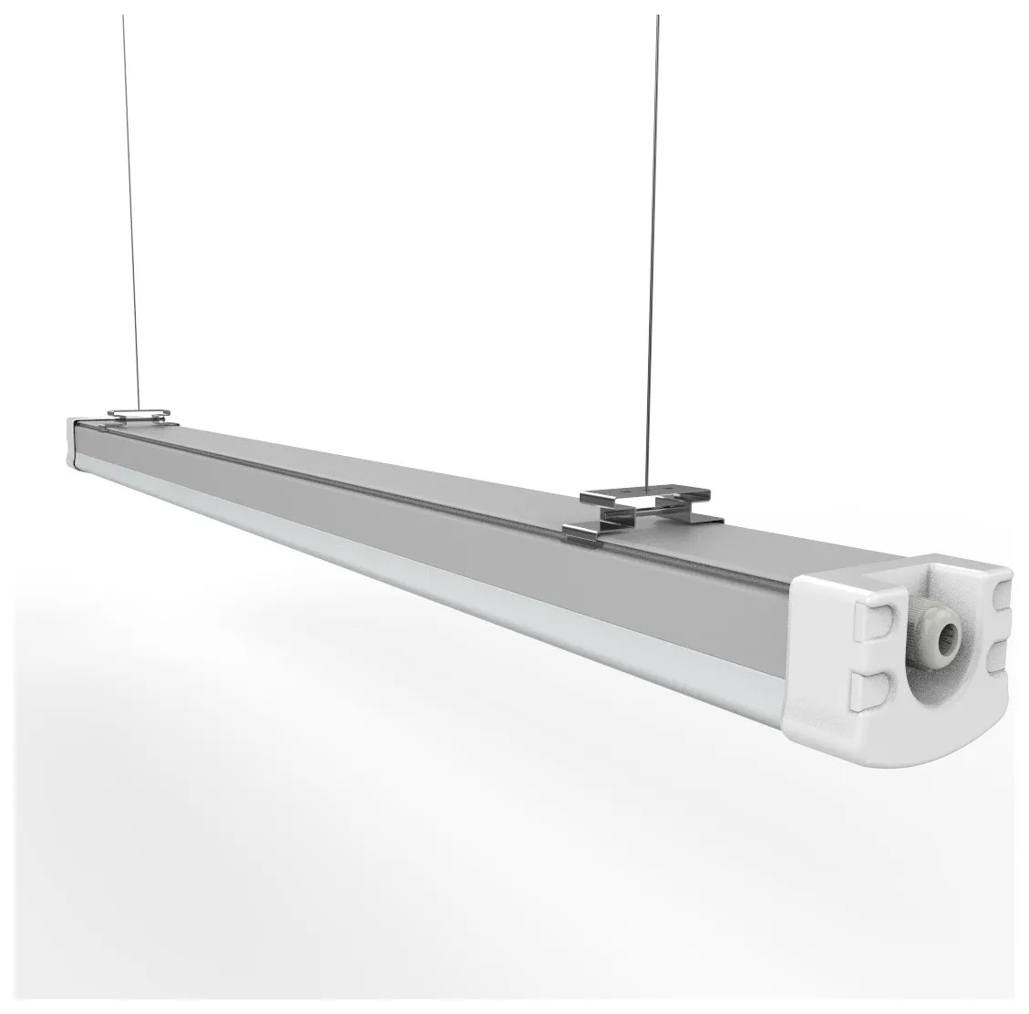 Vapor proof light on suspension wires
