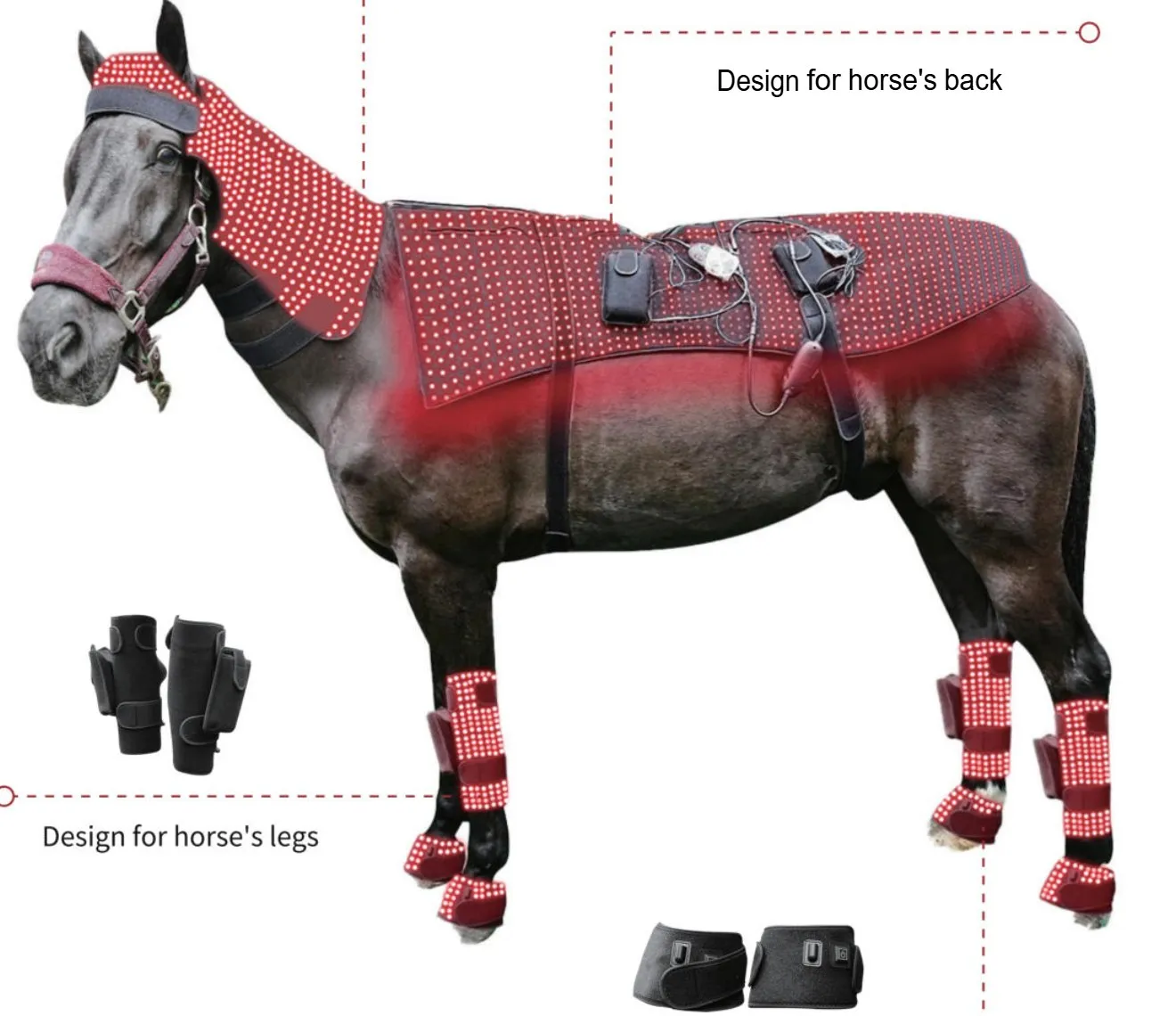 Horse wearing the neck, back, leg and hoof wraps