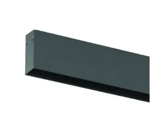 Riel Standard, 39 mm